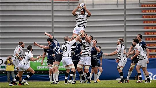 Marco Bortolami is the heartbeat of Zebre. Picture credit: Ray McManus / SPORTSFILE