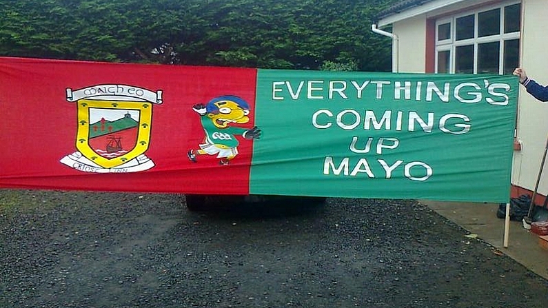 The Best Simpsons Related GAA Flag Of All Time