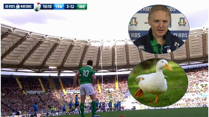 Joe Schmidt Used A Bizarre But Perfect Analogy To Describe Paddy Jackson's Dodgy Conversion