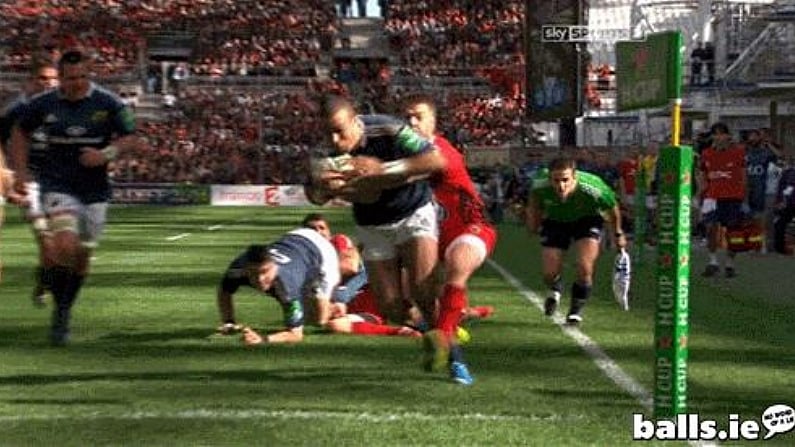 GIF: Zebo!