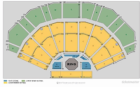 UFC Dublin Tickets