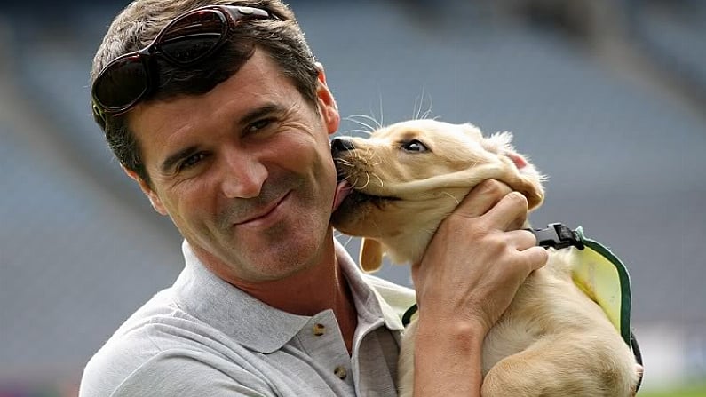 11 Photos That Prove Roy Keane Is The World's Biggest Dog Lover