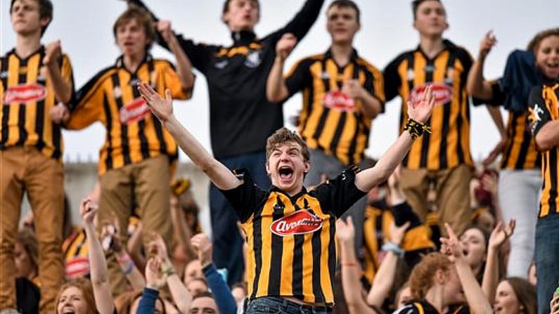 The Balls.ie Photo Tribute To Kilkenny GAA Fans