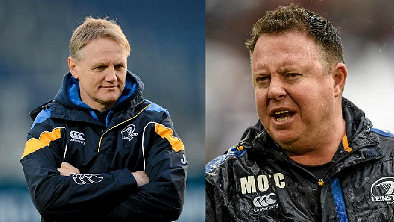 Joe Schmidt Is Having None Of Matt O'Connor's Complaining