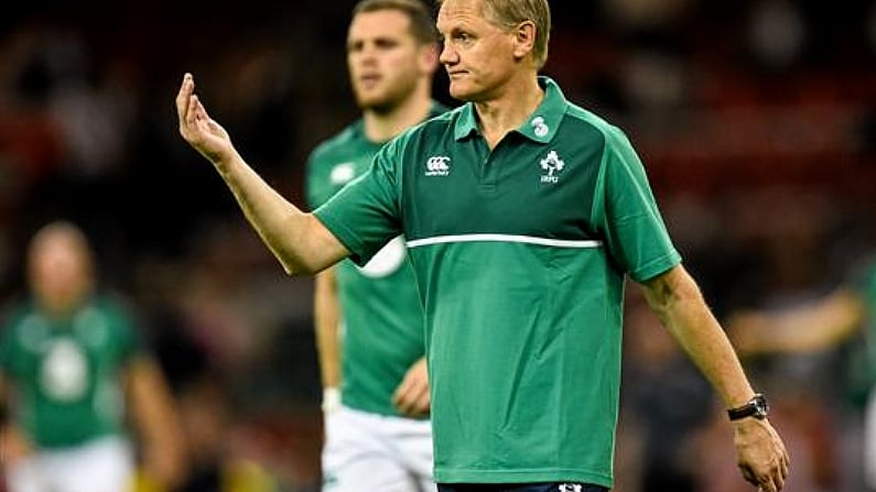 Joe Schmidt Cuts First Players From World Cup Training Squad