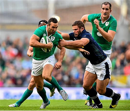 ireland's world cup backs