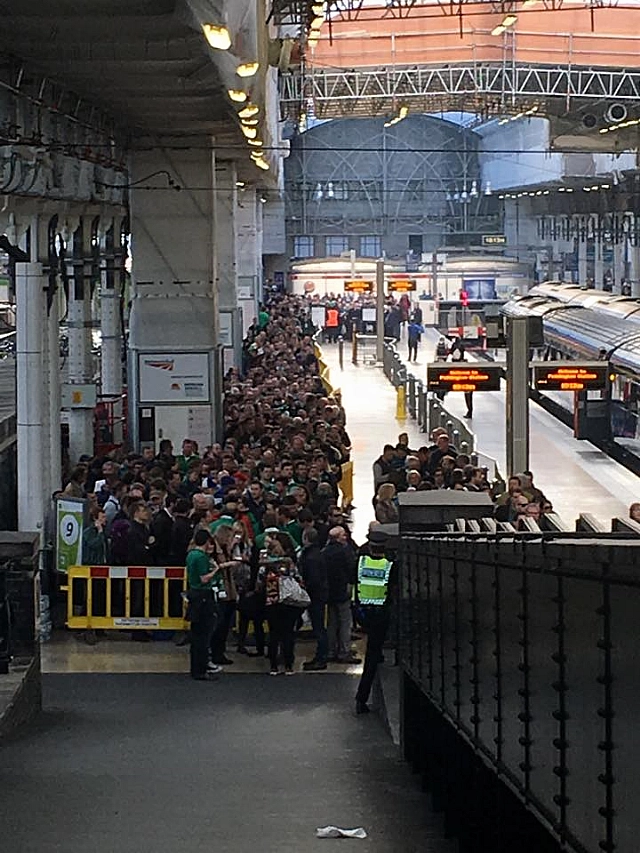 irish rugby fans