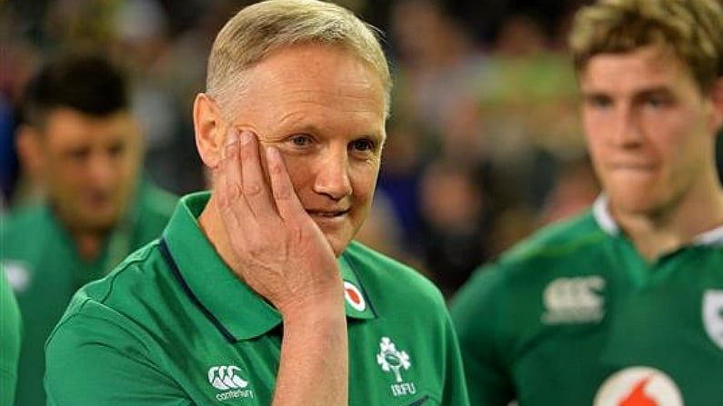 New Zealand Paper Claims Joe Schmidt 'Favourite' For Chiefs Vacancy