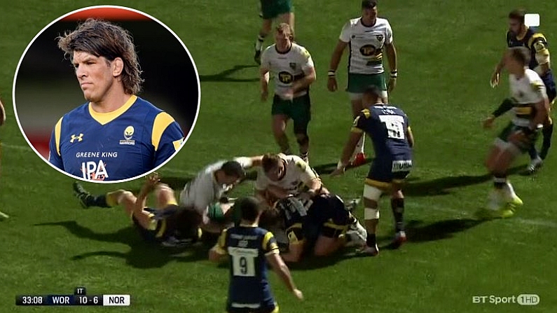 Northampton Flanker Banned Three Weeks For Elbow Which Incensed Donncha O'Callaghan