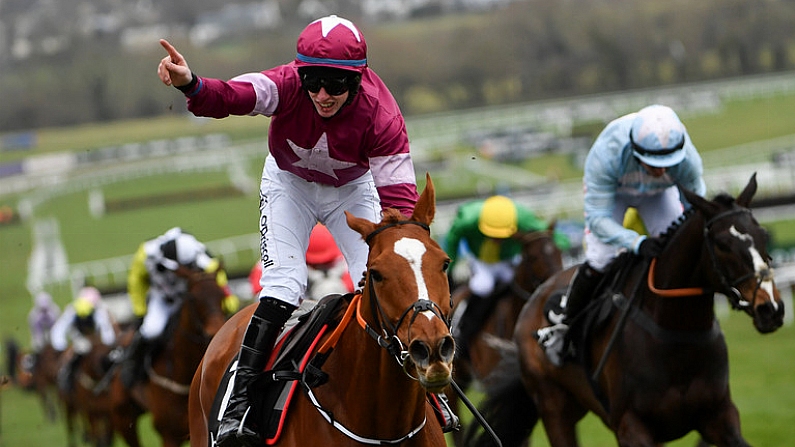 Cheltenham Day 3 Liveblog: Take This Lump Of Sugar, Baby