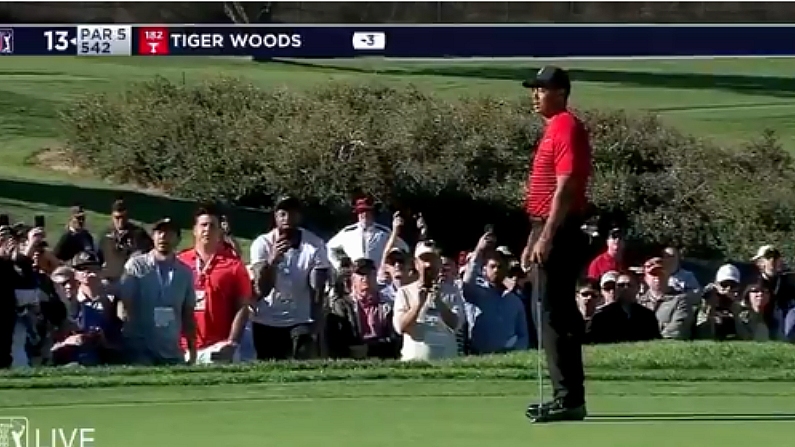 Watch: "Uncool" Spectator Shouts Out As Tiger Woods Is About To Putt