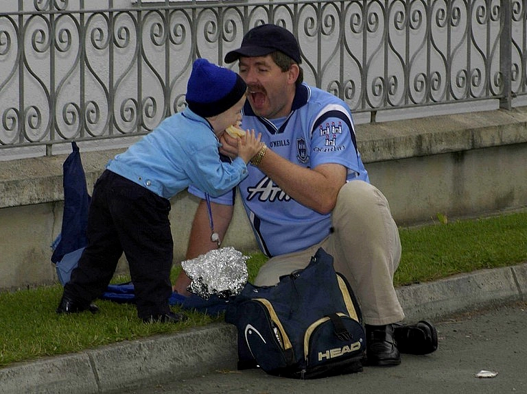 Dublin fans