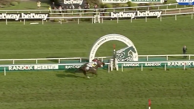 Watch: Thrilling Photo Finish In Grand National As Tiger Roll Nicks It