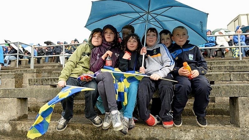 The Balls.ie Photo Tribute To Wicklow GAA Fans