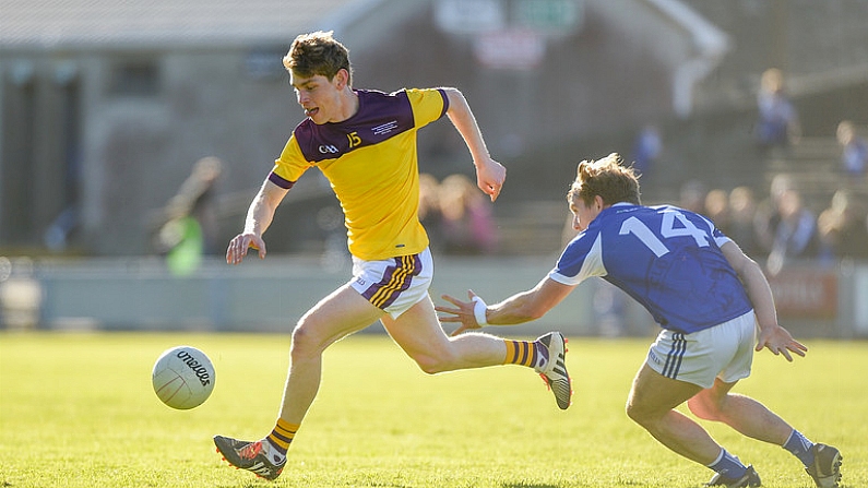 Taking The Point On A Late Penalty Proved Crucial In Wexford vs Laois