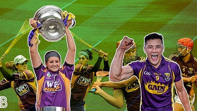 Lee Chin Hails Mags D'Arcy's Impact On The Wexford Hurlers