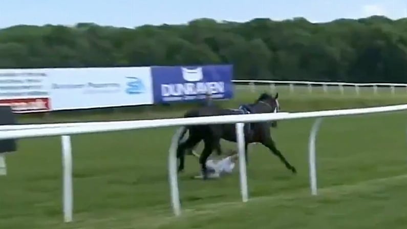 Watch: Racing Presenter Bravely/Idiotically Stops Runaway Horse