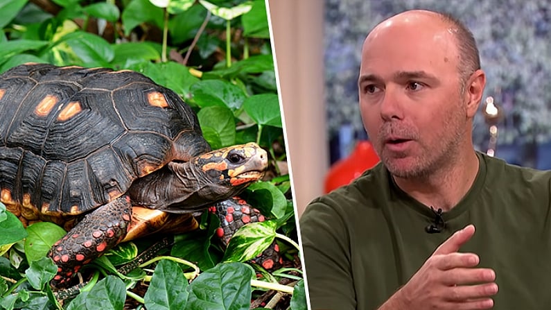 Karl Pilkington Sums Up United Fans' Current Attitude Towards Their Team