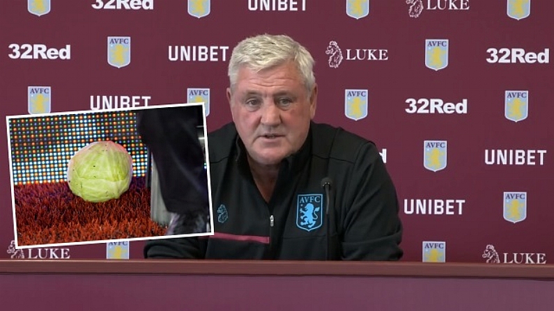 Steve Bruce: Cabbage Incident Sums Up Society We Live In