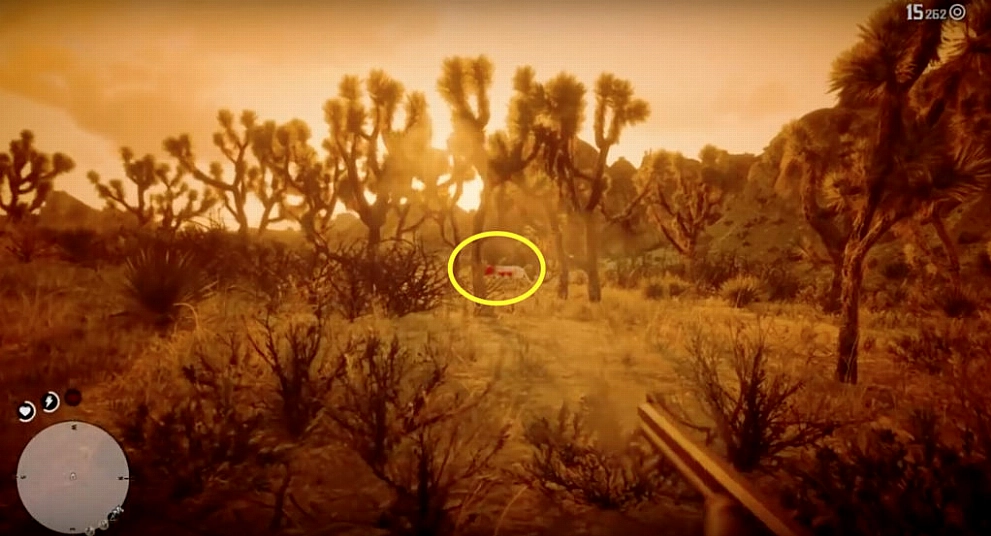 Legendary Cougar Location In Red Dead Redemption 2