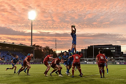 munster leinster champions cup