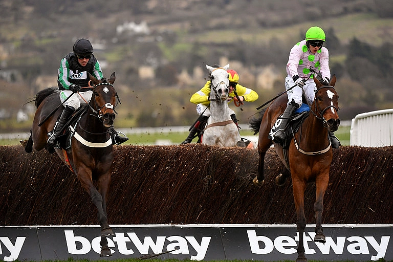 Cheltenham liveblog 