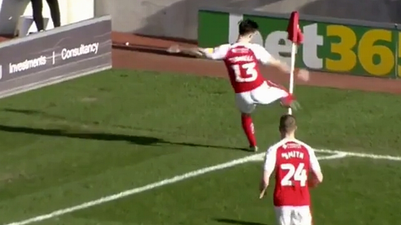 Watch: Richie Towell Volleys Corner-Flag After Well-Taken Goal As Rotherham Fall Short