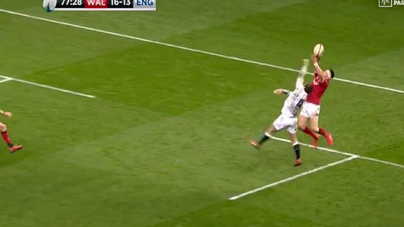 WATCH: Josh Adams Breaks England With Incredible Last-Gasp Try