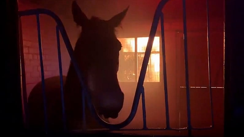 Watch: Fire Breaks Out At Yard Of Well-Known English Trainer