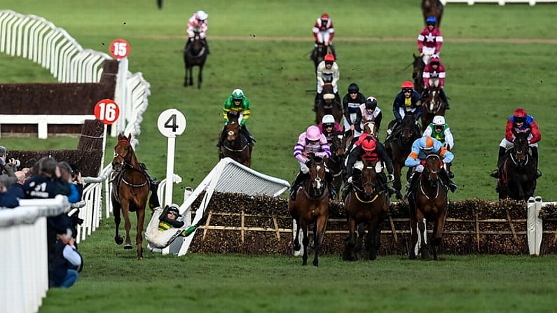 Surreal Scenes At Cheltenham As Corbetts Cross Runs Into Fence At Last Jump