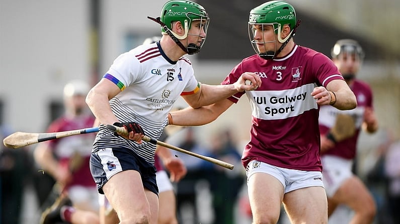 How To Watch The 2023 Fitzgibbon Cup Final: All The Info You Need