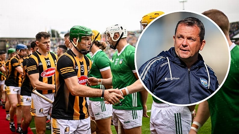 Four Counties Represented In Davy Fitzgerald's Hurling Team Of The Year