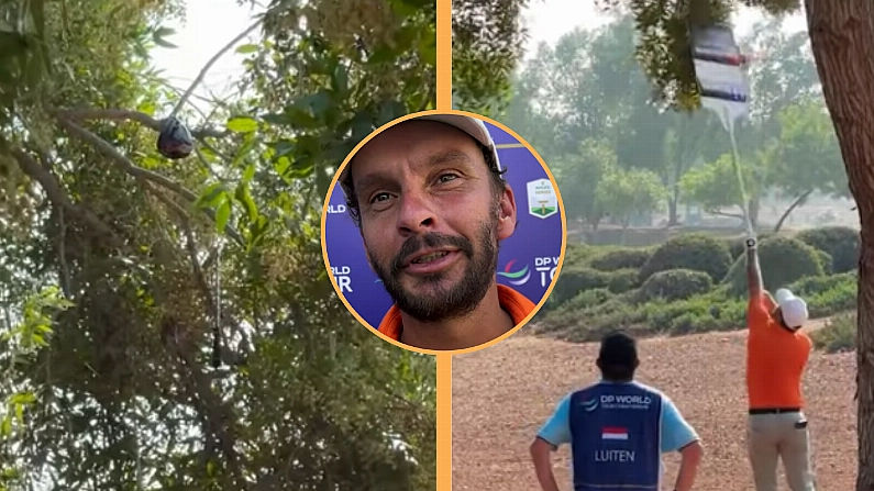 Dutch Golfer Loses The Plot, And Three Clubs In A Tree At DP World Championship