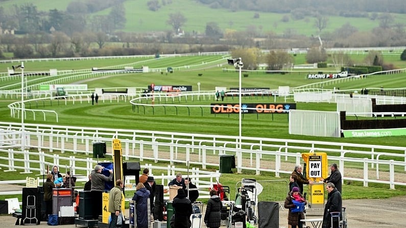 Cheltenham 2020 - Three Tasty Bets To Have A Nibble On