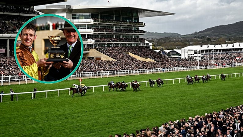 British Horse Racing Chief Claims Irish Cheltenham Dominance Is 'Damaging' The Sport