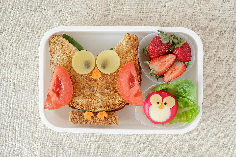 A lunchbox with an owl-shaped sandwich inside