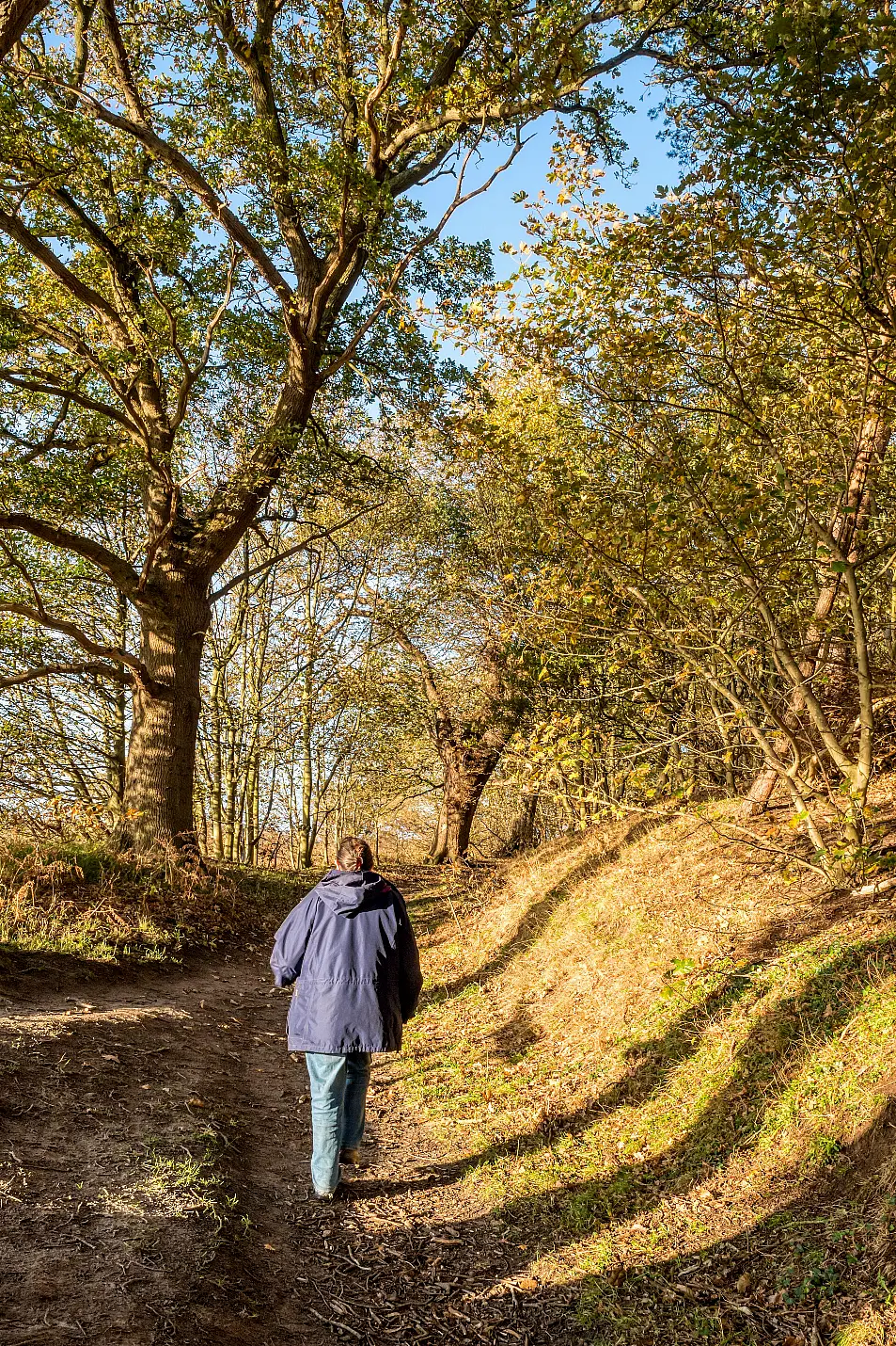 person on walk