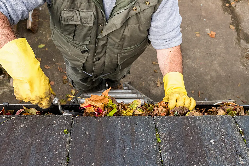 A person clearing leaves from a gutter