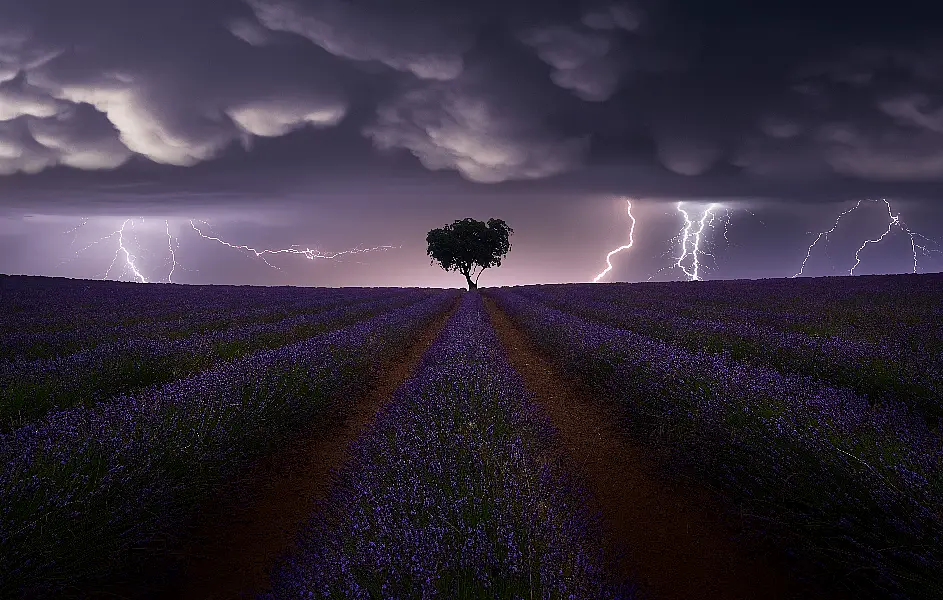 Electric Storm on Lavender by Juan López Ruiz