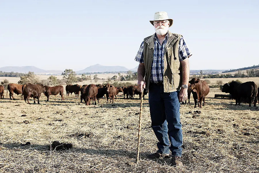 A bearded man standing in front of some cattle