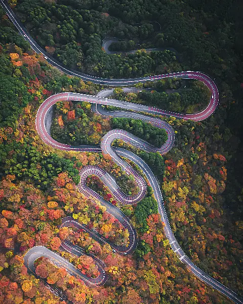 Autumn Snake by Hiroki Nose