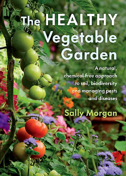 Book jacket of The Healthy Vegetable Garden by Sally Morgan (Chelsea Green/PA)