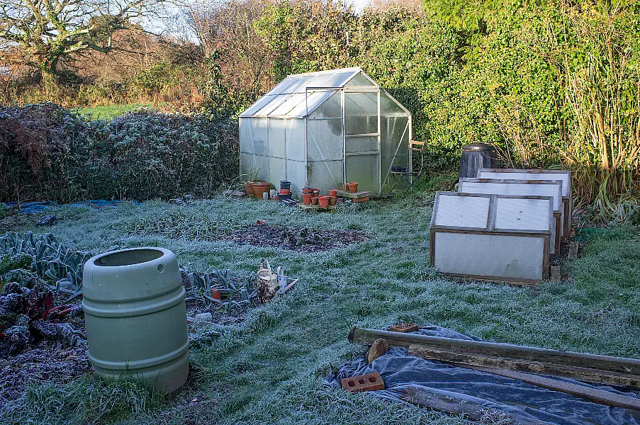 A frosty garden