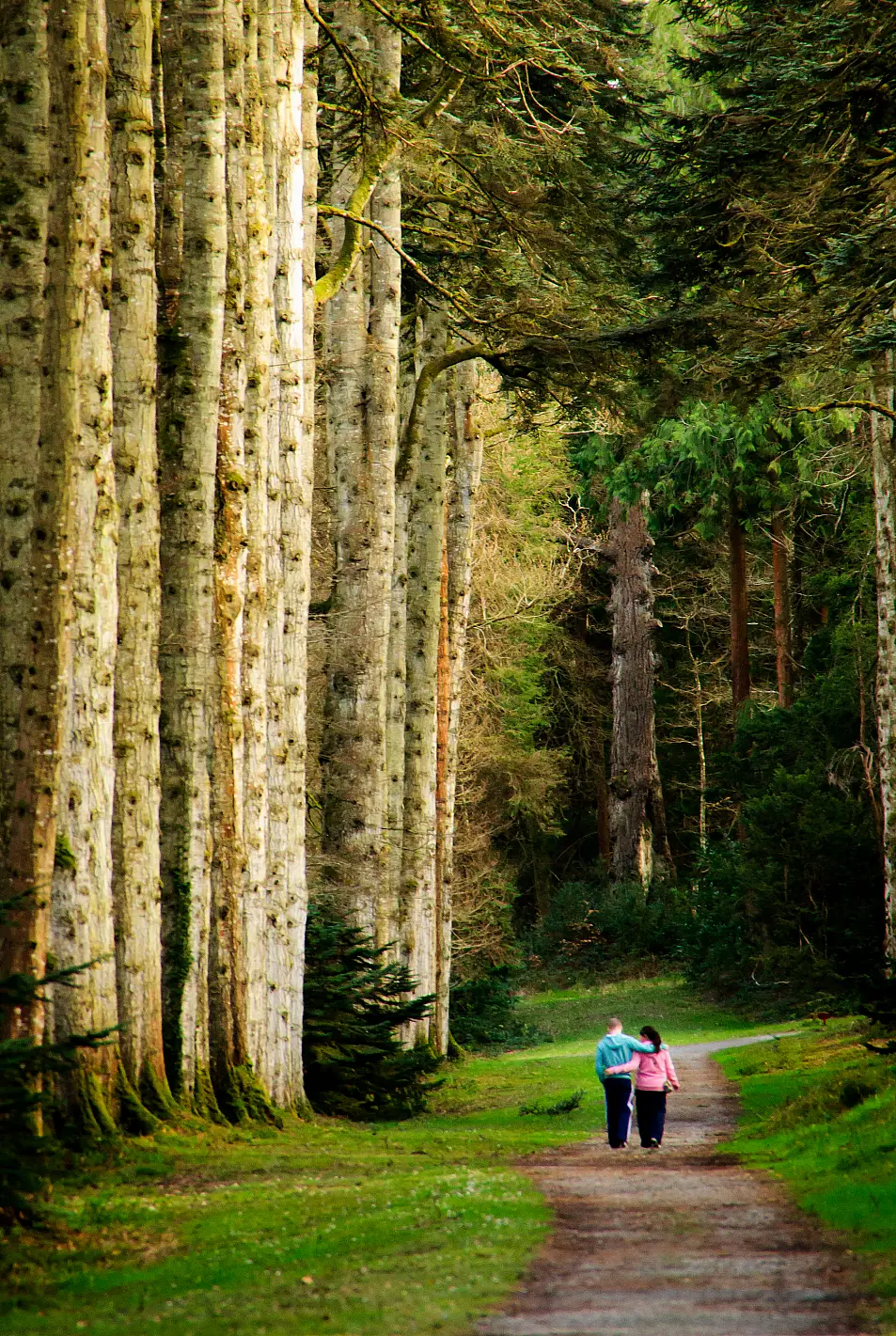 Couple walk through woods