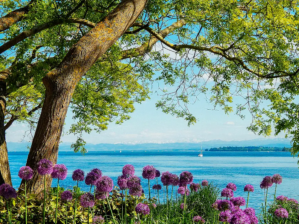 Lake Constance (Alamy/PA)