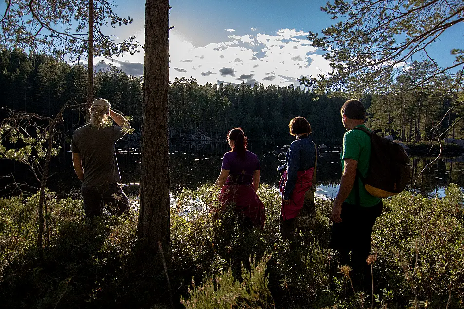 A forest walk (Responsible Travel/PA)