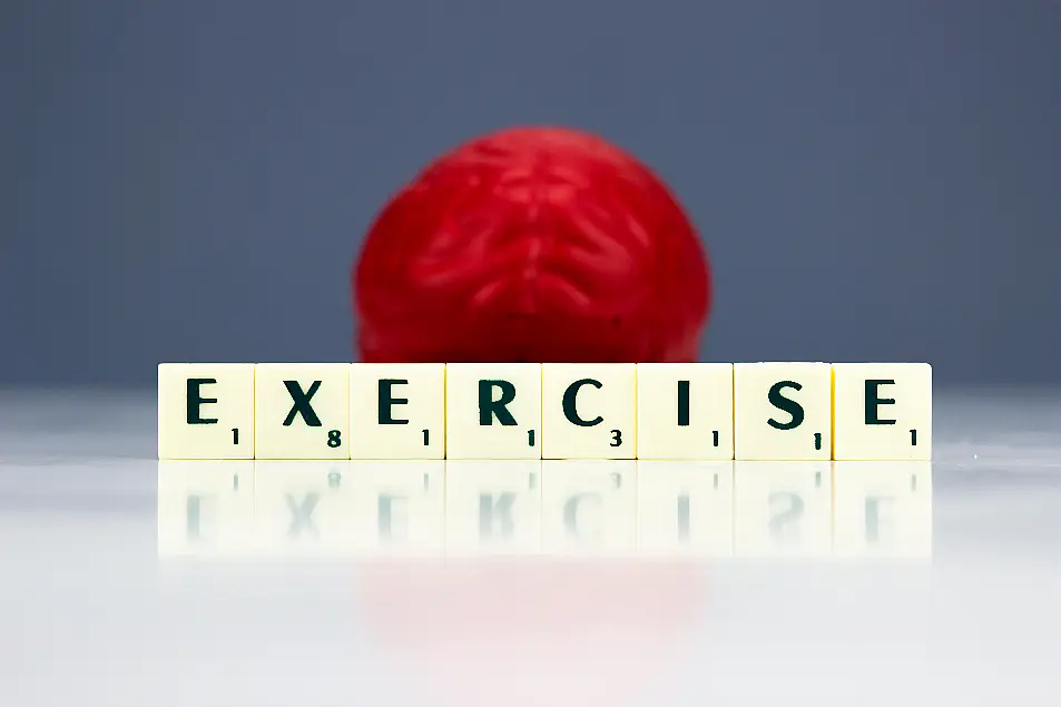 Scrabble letters spelling out the word exercise in front of a red brain