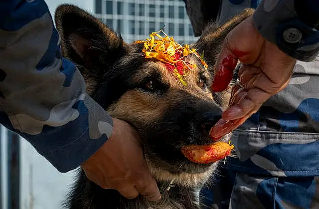 Nepal Festival