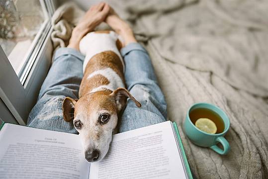 In Praise Of ‘Wasting’ The Extra Hour As Clocks Go Back