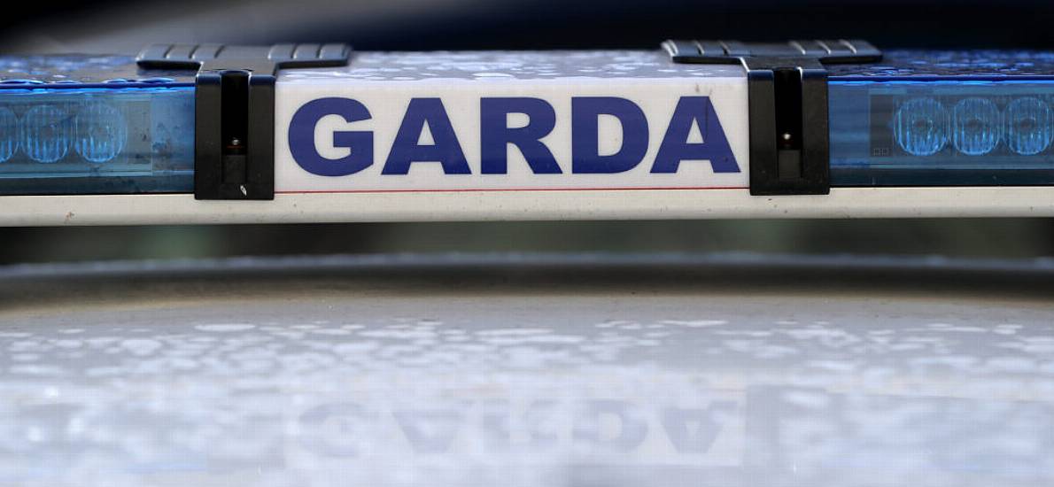 Gardaí Identify 28 People Involved In Pup Scheme Fraud